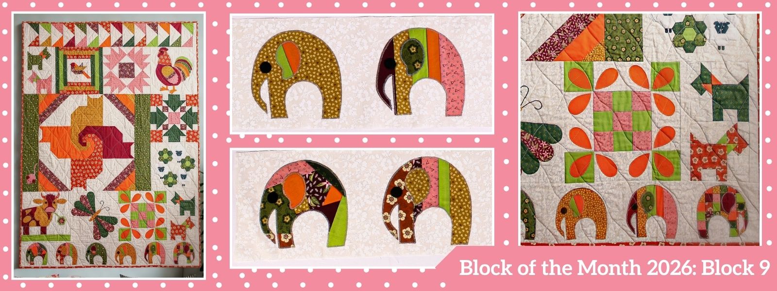 Quilt-Along: Elephant Border Block of the Month 9 | 2026